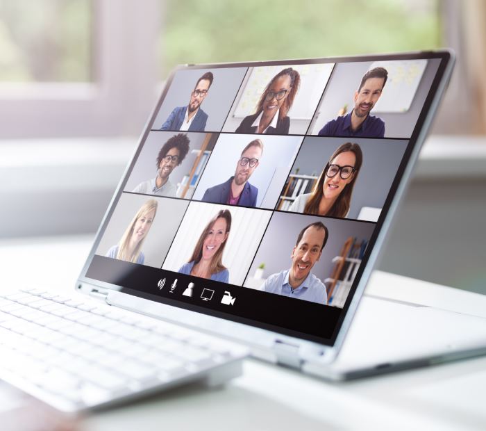 Webinar/Seminer